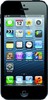 Apple iPhone 5 16GB - Обь
